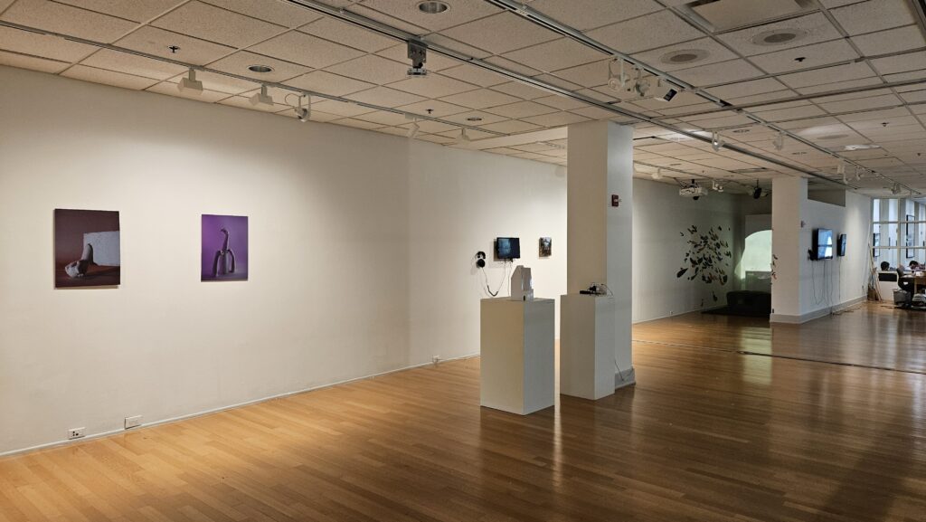 Installation view of "The Digital Landscape"